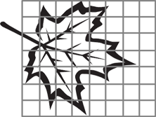 The image shows the outline of a leaf that is covered by a grid overlay.